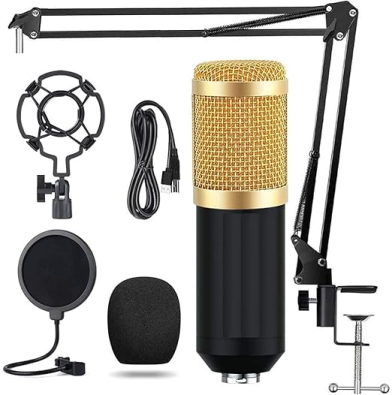 BM800-Microphone
